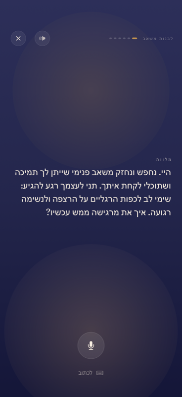 הפגישה המודרכת