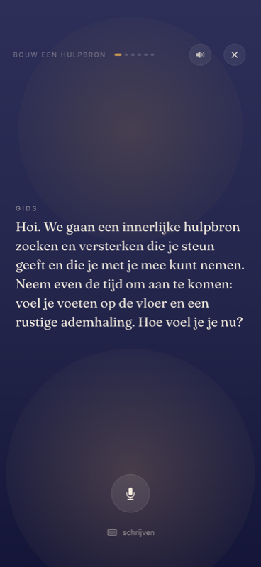 De begeleide sessie