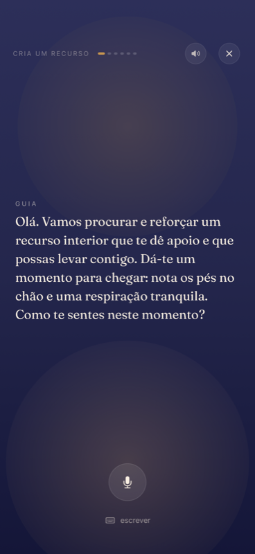 A sessão guiada